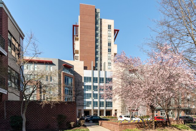 カサ アレクサンドリア ワシントン