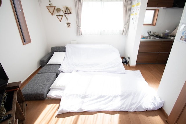 Ritz Residence Sumida