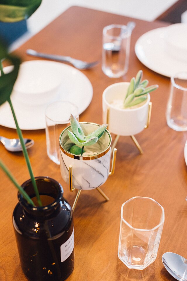 PJ ミッドタウン バイ スリーピー ベア