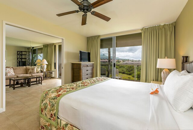 AEI アット マウイ バニヤン