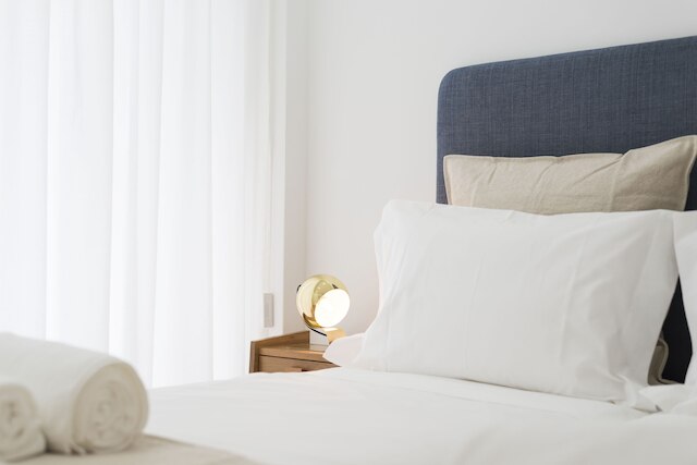 ブルーノズ ダウンタウン アパートメント