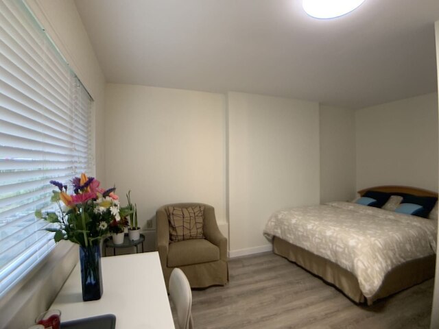 オールド プラム ツリー スタイル スイート