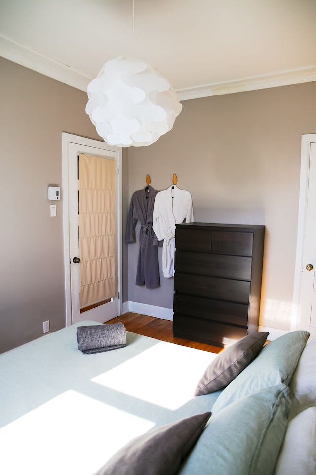 ザ コクーニング アパートメント オブ トータル コンフォート