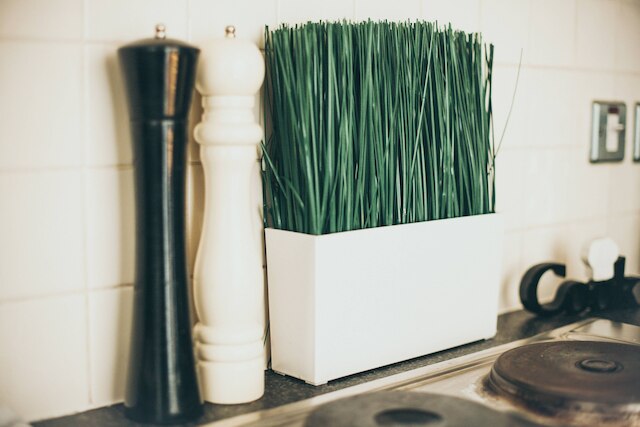 ケント ストリート - アパートメント 15