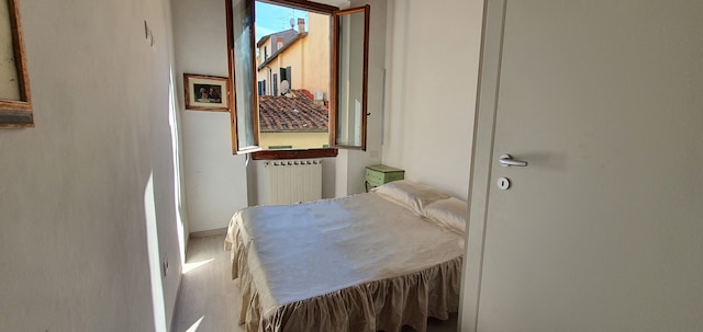 ニュー アルファニ