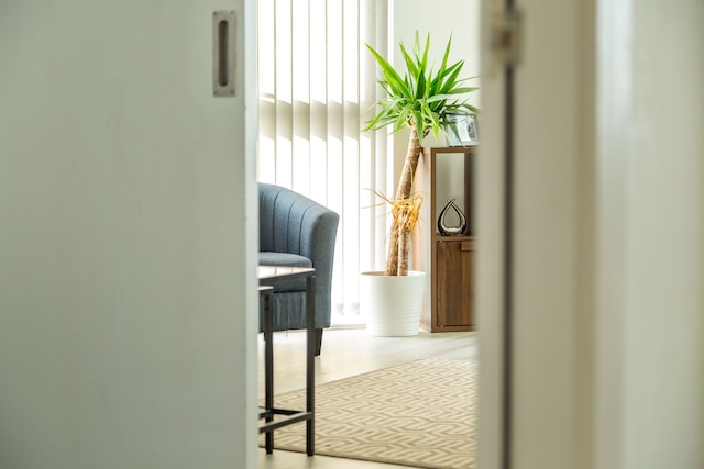 ケント ストリート - アパートメント 11