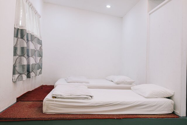 カメリアホームステイ