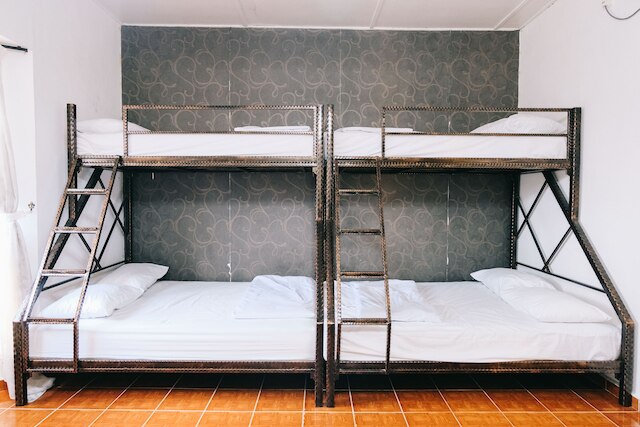 カメリアホームステイ