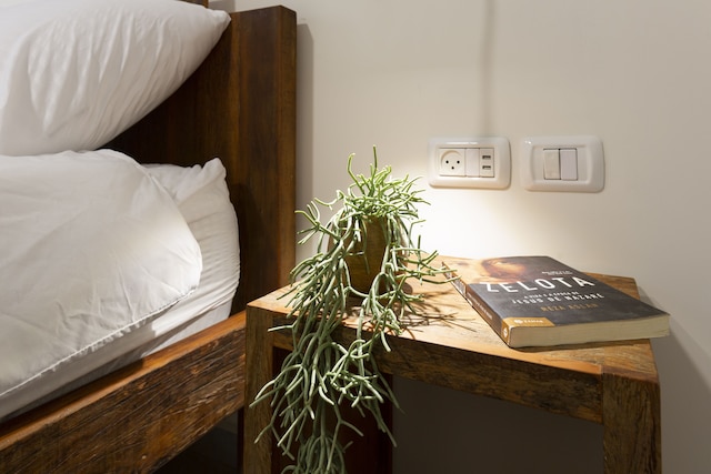 エアTLV サーキン アパートメント