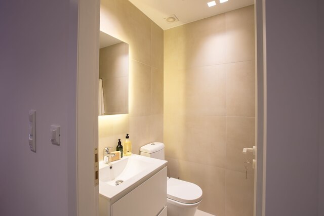 ファエドルス リビング : シティ ラグジュアリー フラット マヴロミシリ