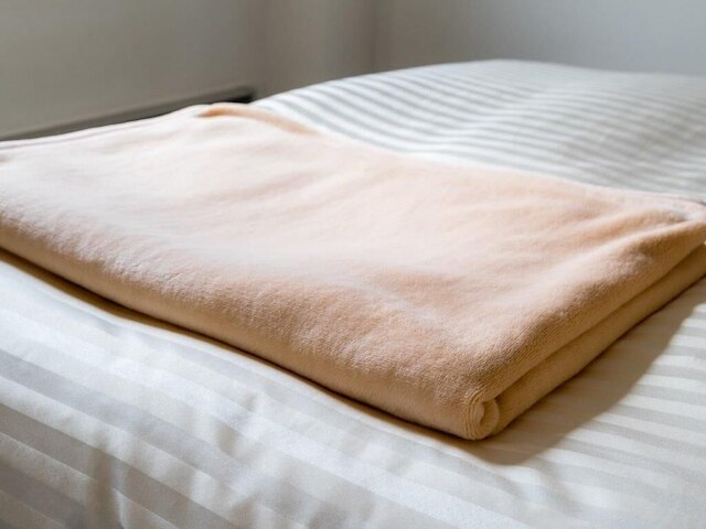 スーパーホテル盛岡