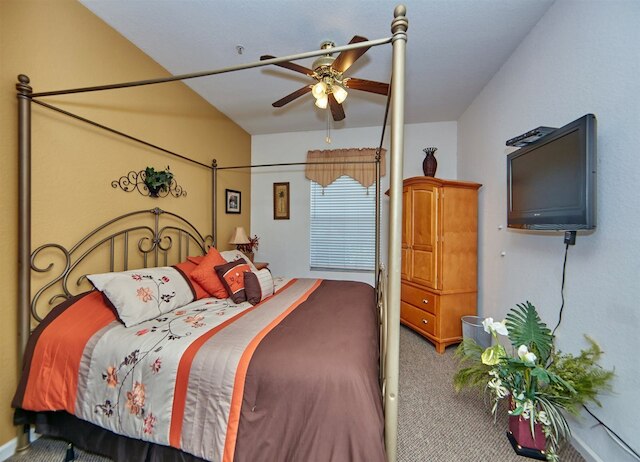 ウィンザーパルムソ 105 スプ