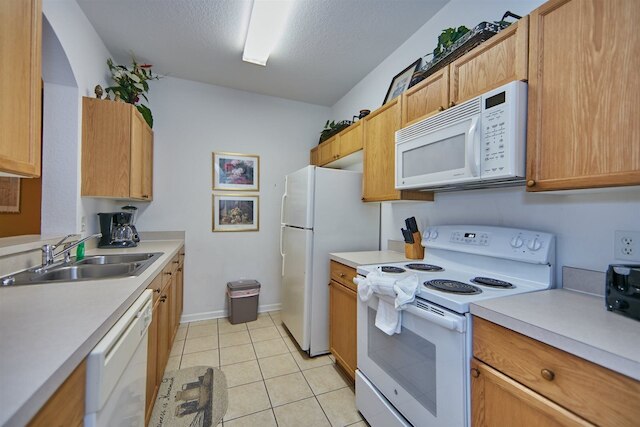 ウィンザーパルムソ 105 スプ