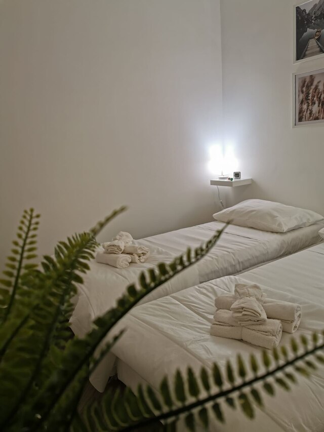 シー フライ ゲスト ハウス