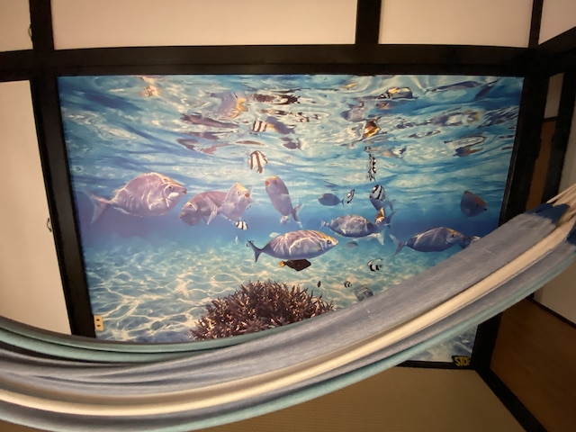 オアシス和田浦