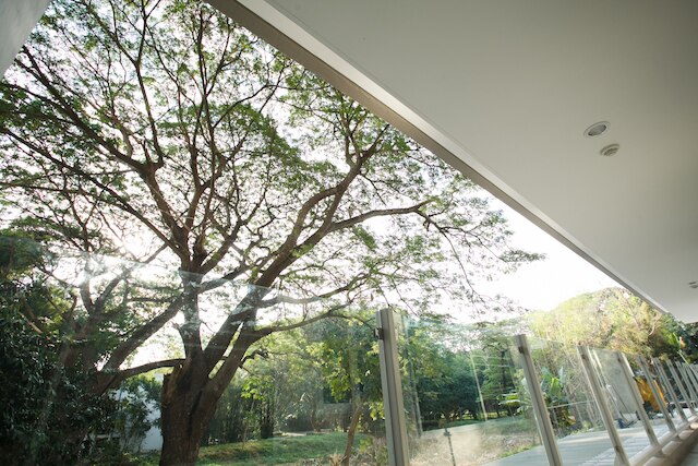 ニヴス チェンマイ