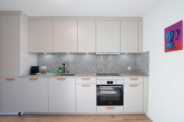 ヒトレンタル レッツィグルント アパートメンツ