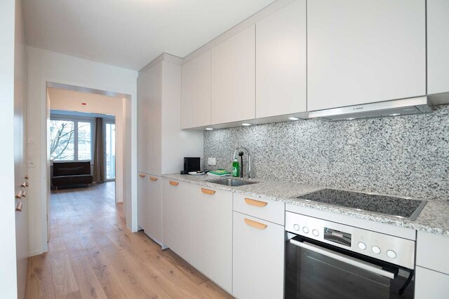 ヒトレンタル レッツィグルント アパートメンツ