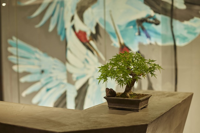 浅草九倶楽部HOTEL