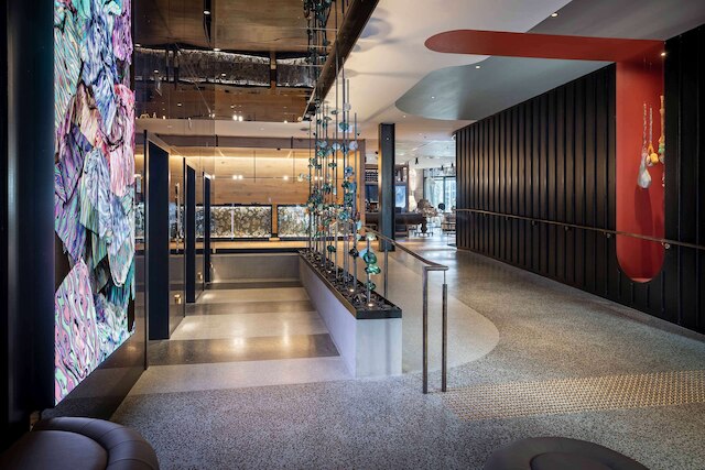 QT オークランド