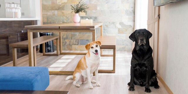 Rakuten STAY VILLA 富士山中湖