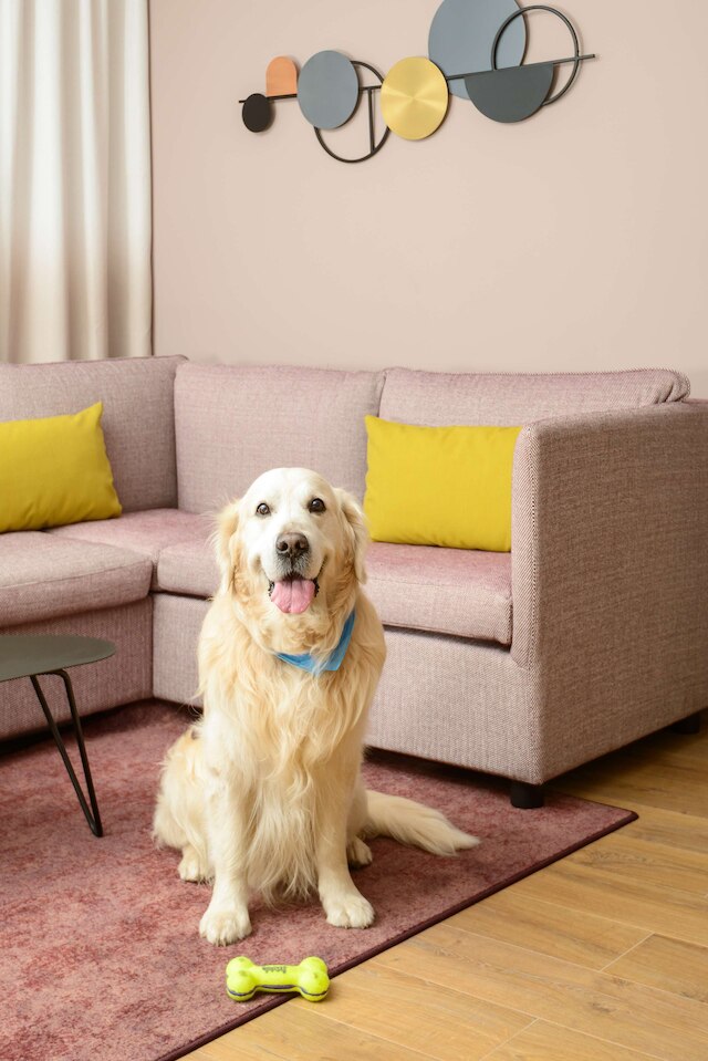 ハイアット ハウス パリ シャルル ド ゴール エアポート