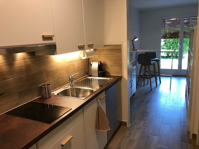 EPFLとローザンヌ市中心部近くの大きなスタジオ