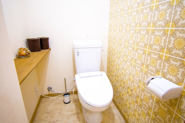 GS301 グランシャーギ