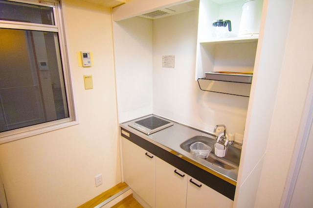 GS301 グランシャーギ