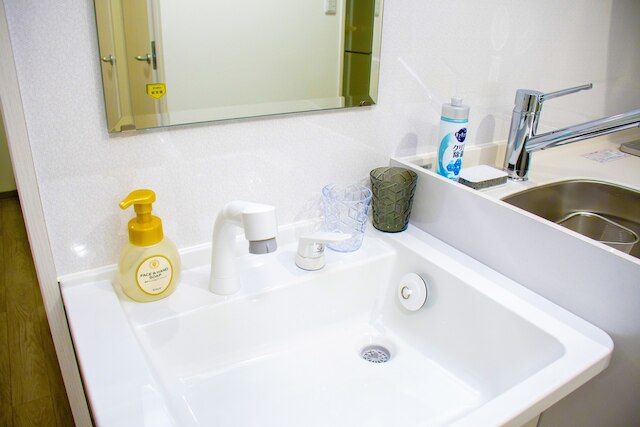 GS305 グランシャーギ