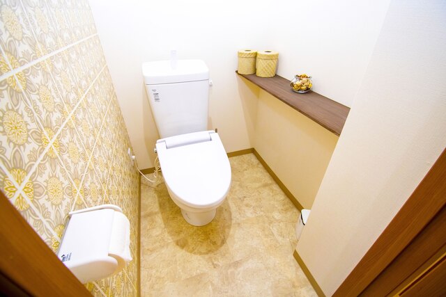 GS402 グランシャーギ