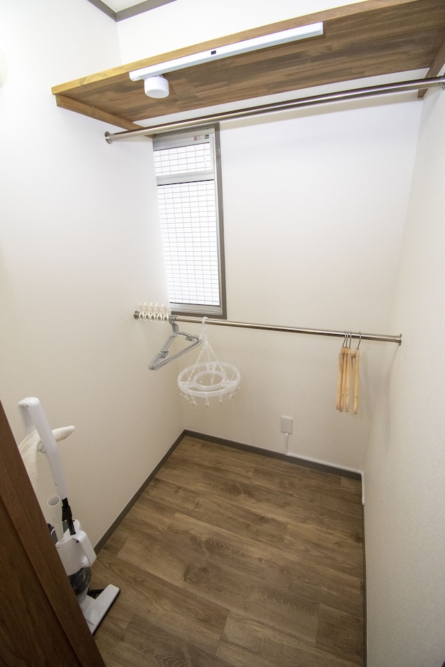 GS504 グランシャーギ