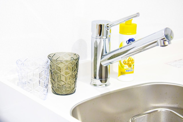 GS505 グランシャーギ