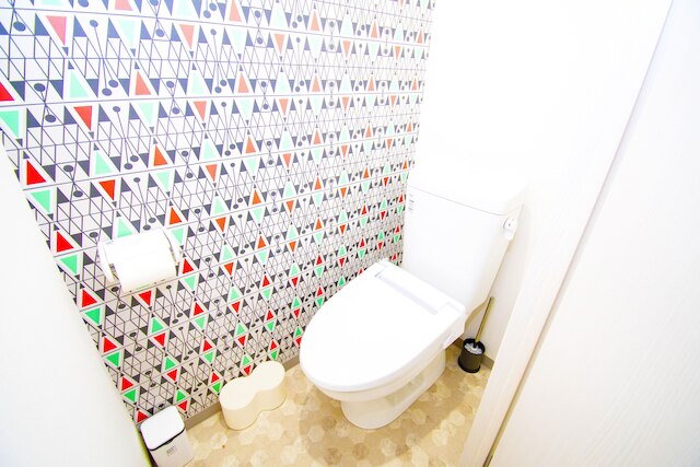 GS505 グランシャーギ