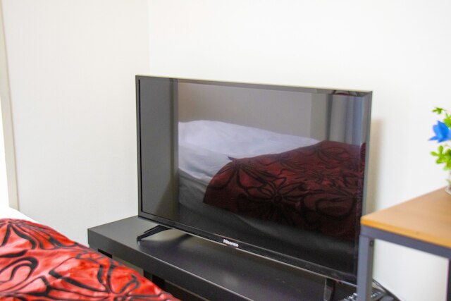 GS201 グランシャーギ