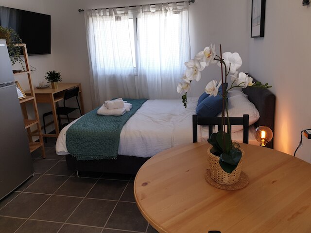 エアTLV ベン ハッシャー アパートメンツ