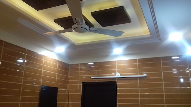 豪華なS.デリ外国人エリア、非常に安全、ラジパット・ンガー-2