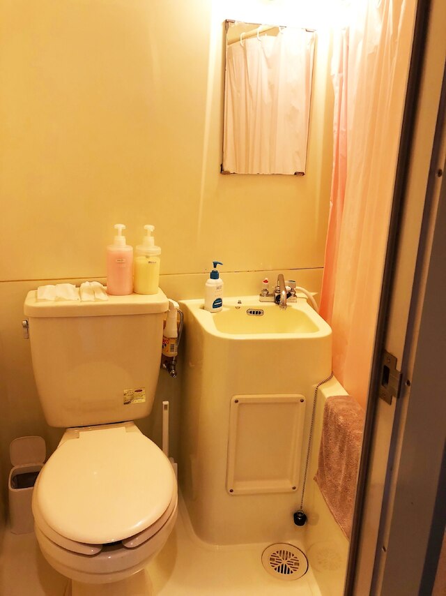 一条 IVY (セミダブル)