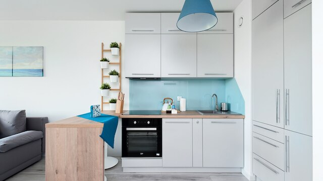 アパルタメンティ サン & スノー コノプニカ シティ