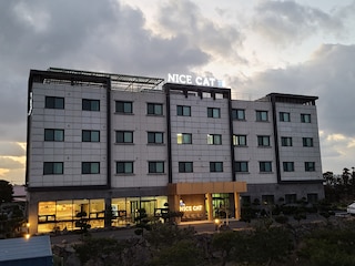 Nice Cat Hotel & Guest House