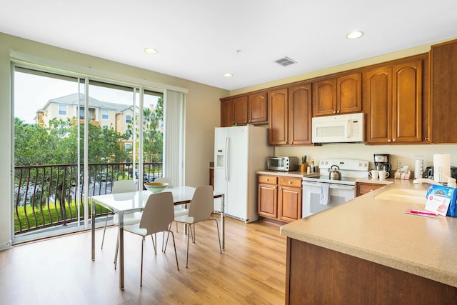 ビューティフル ガーデン