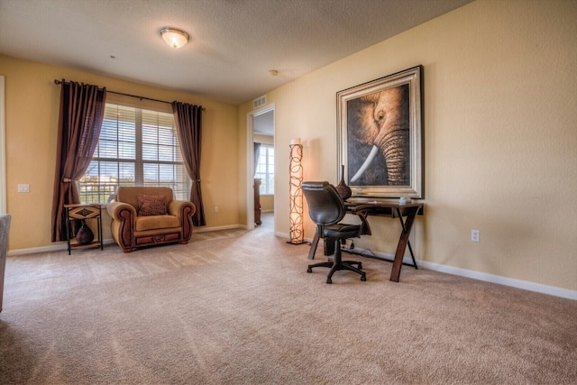 サファリ ブリーズ