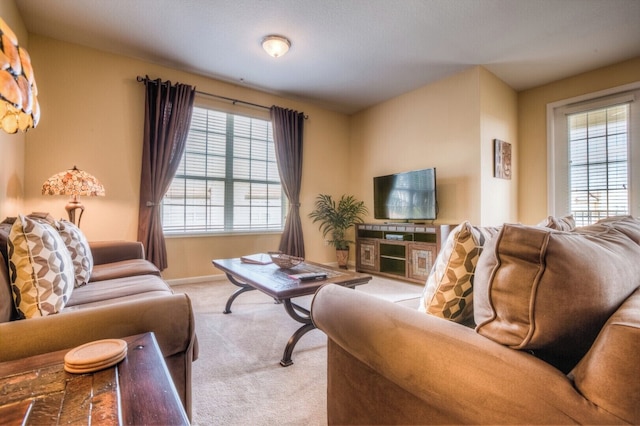 サファリ ブリーズ