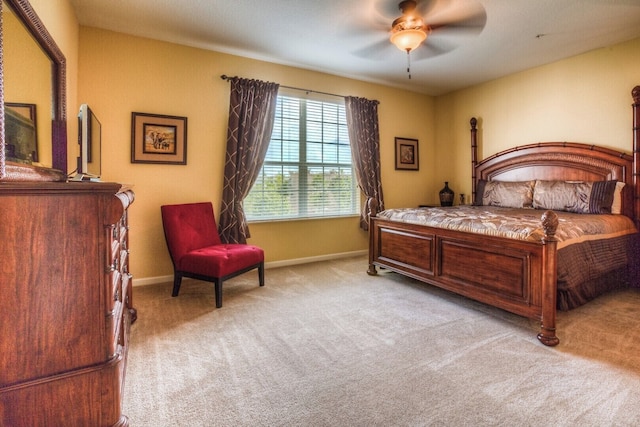 サファリ ブリーズ