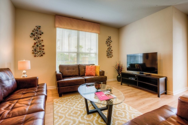 ラグーナ ビスタ