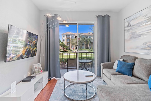 トロピカル トレジャー