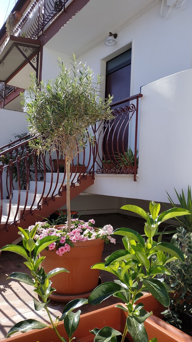 イル カンティコ B&B