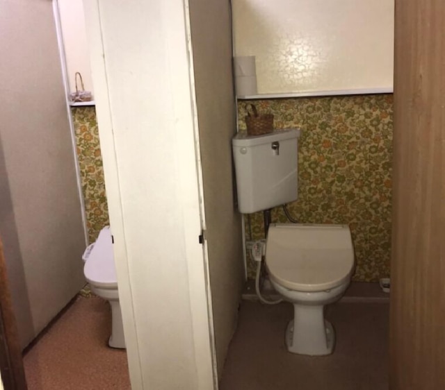 スポーツプラザ白樺