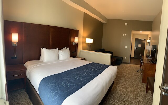 コンフォート スイーツ デイトナ ビーチ - スピードウェイ