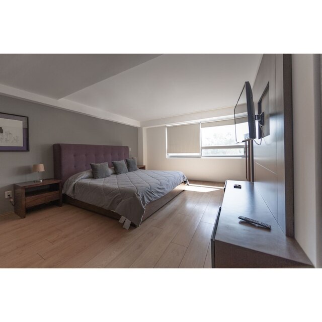 デスティネーション コンデサ アッルヴァロ オブレゴン ストリート